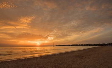 The Wild East - Sri Lanka In Style