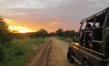 Island Rush - Sri Lanka In Style