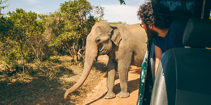 4 reasons to choose Sri Lanka for a family wildlife trip