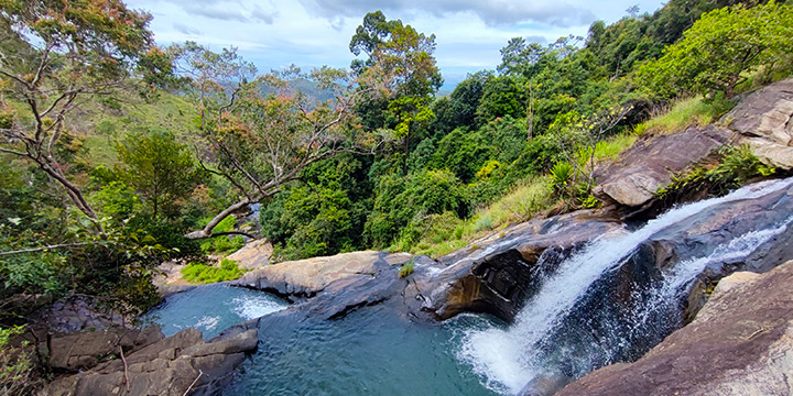 A guide to forest bathing in Sri Lanka