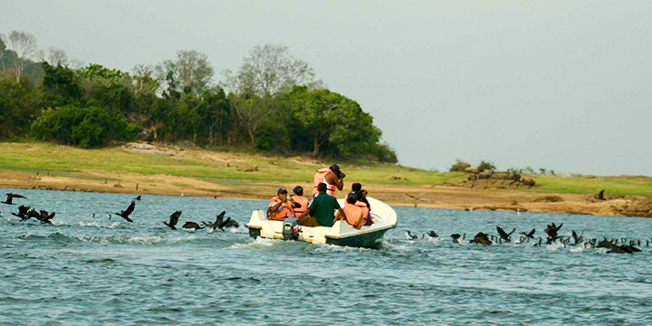 A seasonal guide to Sri Lanka wildlife experiences