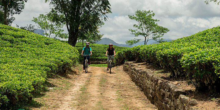 Crafting the ultimate Sri Lanka cycling tour