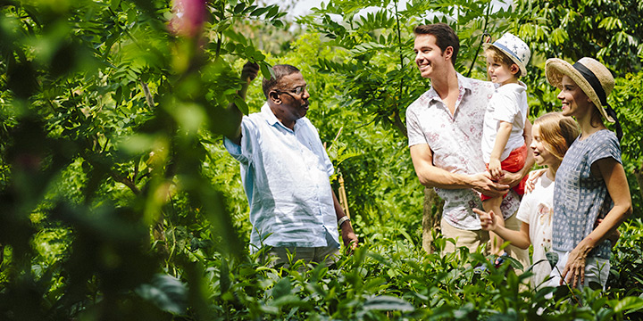 How to experience Sri Lanka’s tea heritage