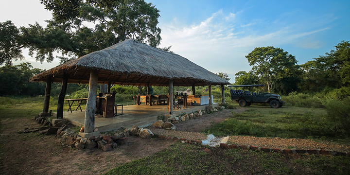 Spotting the Sri Lankan Leopard