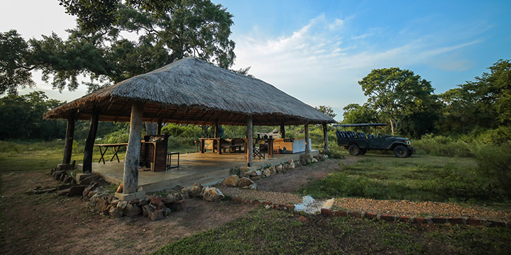 Spotting the Sri Lankan Leopard