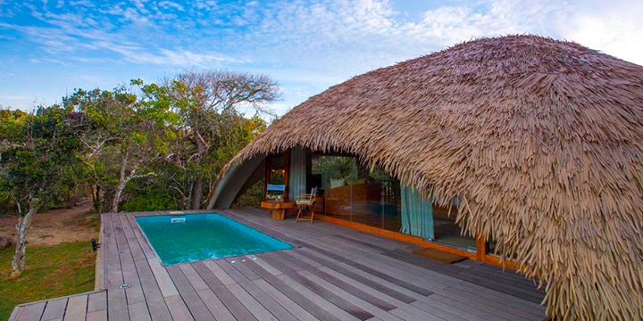 Top 6 luxury Sri Lanka wildlife hotels