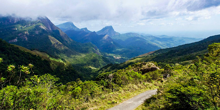 Knuckles Mountain Range, Kandy