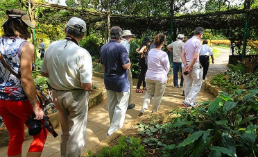 A guided tour of the Botanical Gardens with a botanist - Kandy House - Sri Lanka In Style
