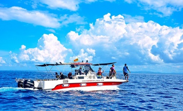 Whale watching by private speedboat – Mirissa - Jade 52 - Sri Lanka In Style