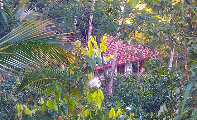 Jim's Farm Villas - Sri Lanka In Style