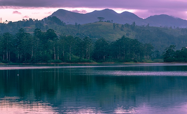 Camellia Hills - Sri Lanka In Style