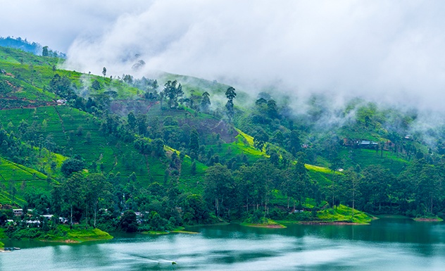Camellia Hills - Sri Lanka In Style