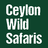 Ceylon Wild Safaris - Sri Lanka In Style