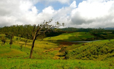 A visit to Horton Plains - Stafford Bungalow - Sri Lanka In Style