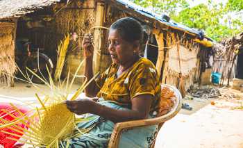 Palmyrah Arts - Experience - Sri Lanka In Style