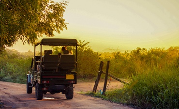 Into the Wild -  Sri Lanka In Style