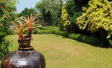 Brief Garden by Bevis - Kumu Beach - Sri Lanka In Style